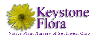 Keystone Flora